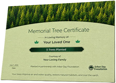 Plant Trees in Memory of William Hadley